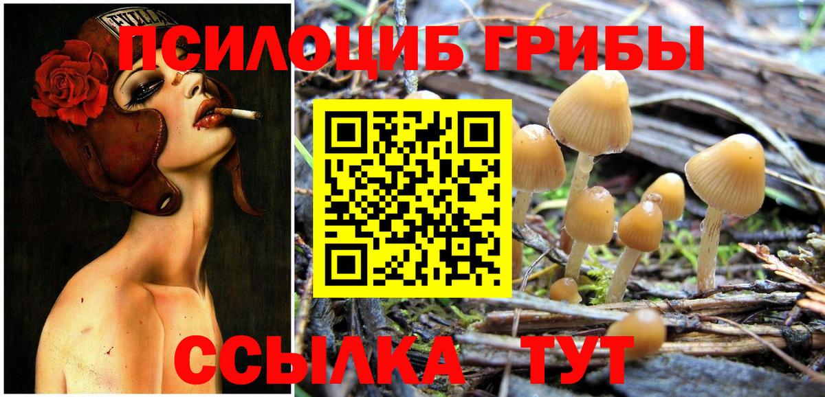 Галлюциногенные грибы MAGIC MUSHROOMS  Вход с VPN  Топки 