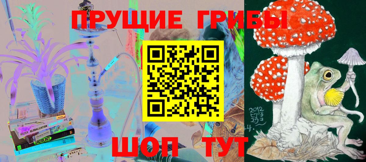 Галлюциногенные грибы Cubensis Топки
